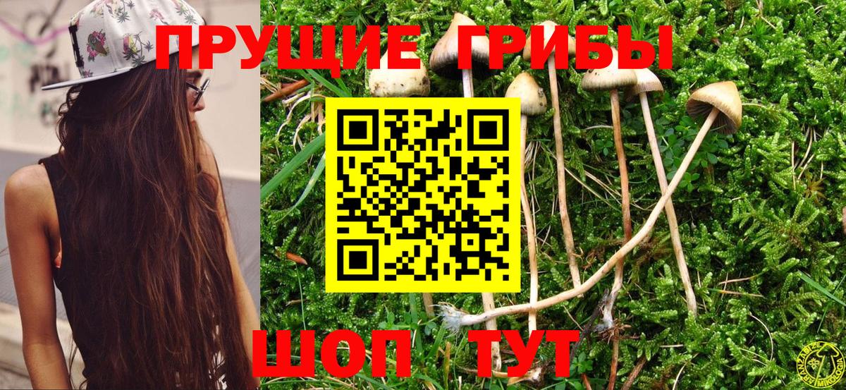 Псилоцибиновые грибы Magic Shrooms Барнаул